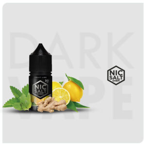 LEMONADE MENTA & GENGIBRE - SHIBUMI SAL