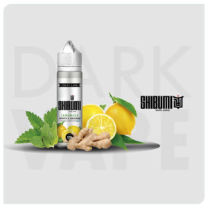 LEMONADE MENTA Y GENGIBRE - SHIBUMI FRUIT LINE