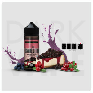 ARANDANOS CHEESECAKE - SHIBUMI PUDDING LINE